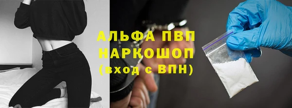 сатива Белоозёрский