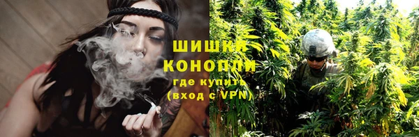 сатива Белоозёрский