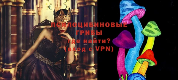 сатива Белоозёрский