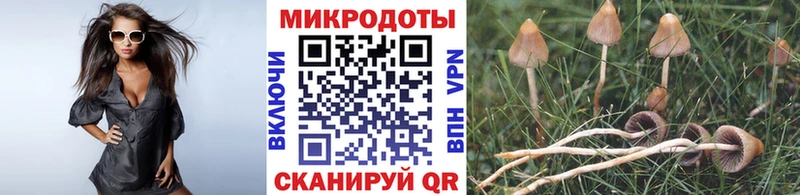 Псилоцибиновые грибы MAGIC MUSHROOMS  Купить где  Бавлы 